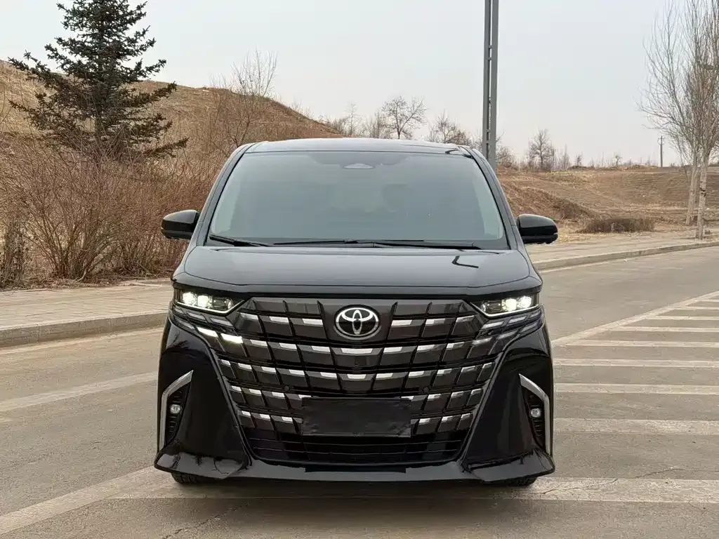 Toyota Alphard — фото 7