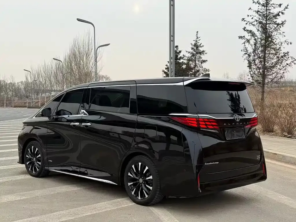 Toyota Alphard — фото 10