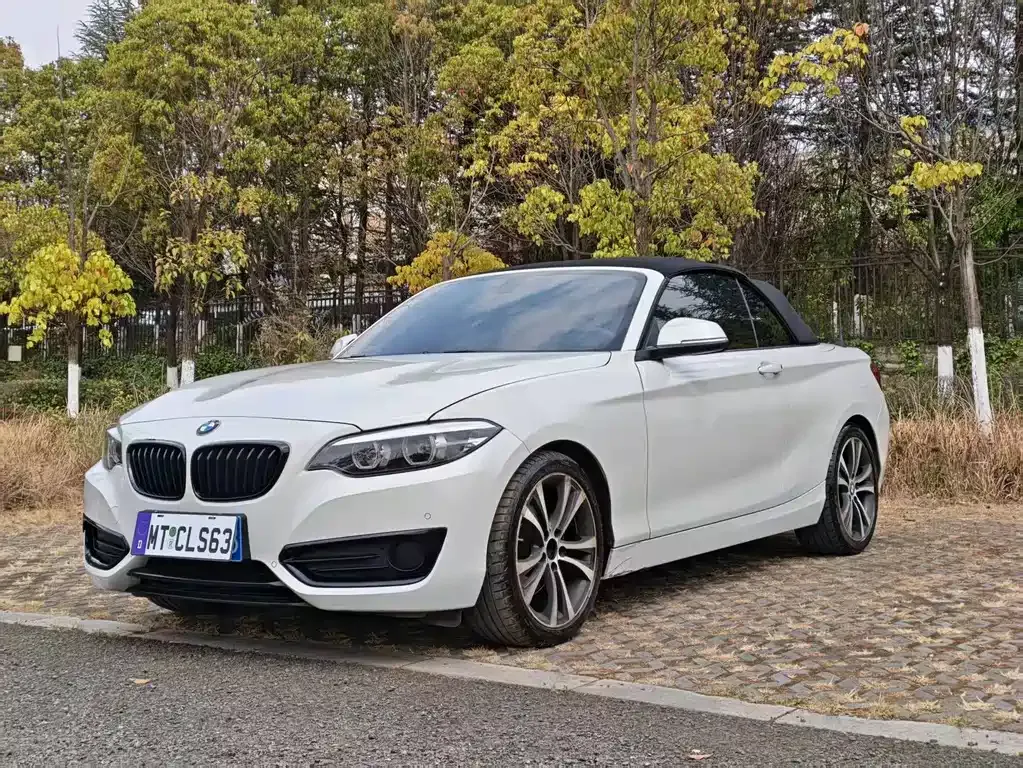 BMW 2 Series (Import) — фото 1