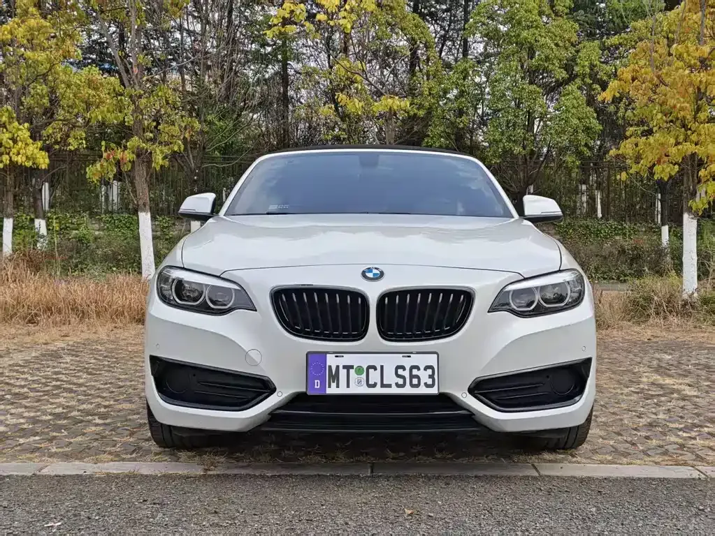 BMW 2 Series (Import) — фото 2