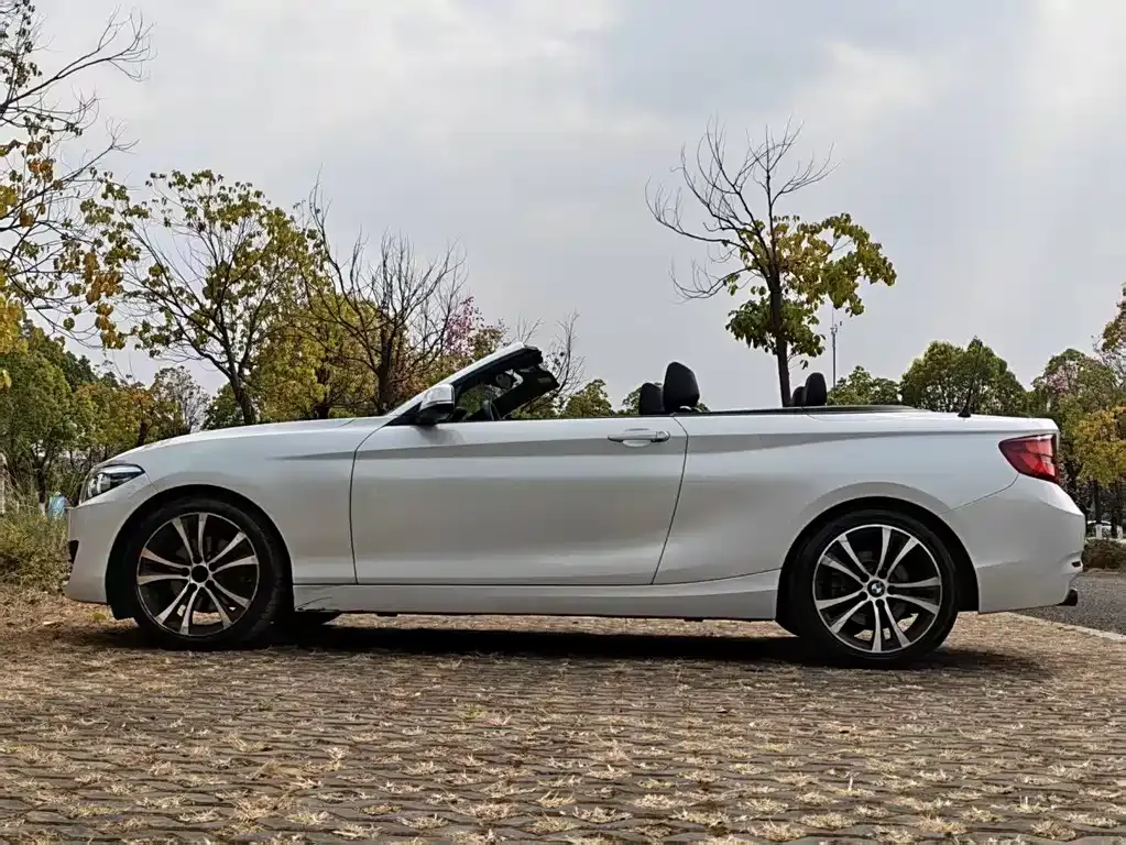 BMW 2 Series (Import) — фото 10