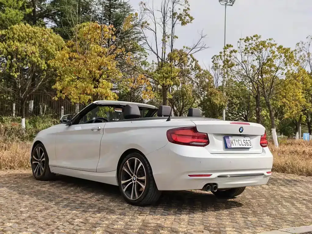 BMW 2 Series (Import) — фото 8