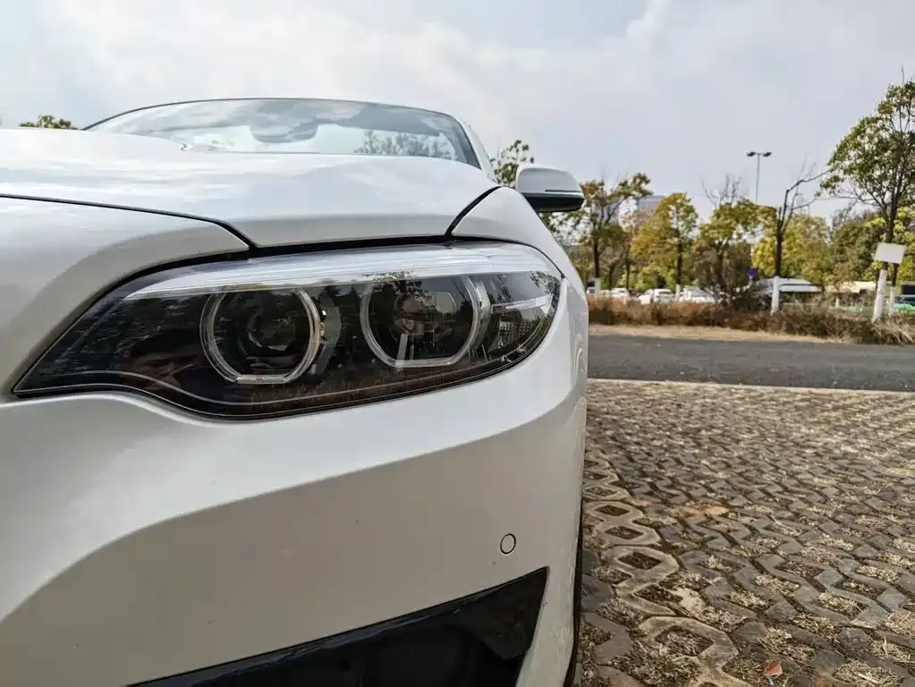 BMW 2 Series (Import) — фото 7