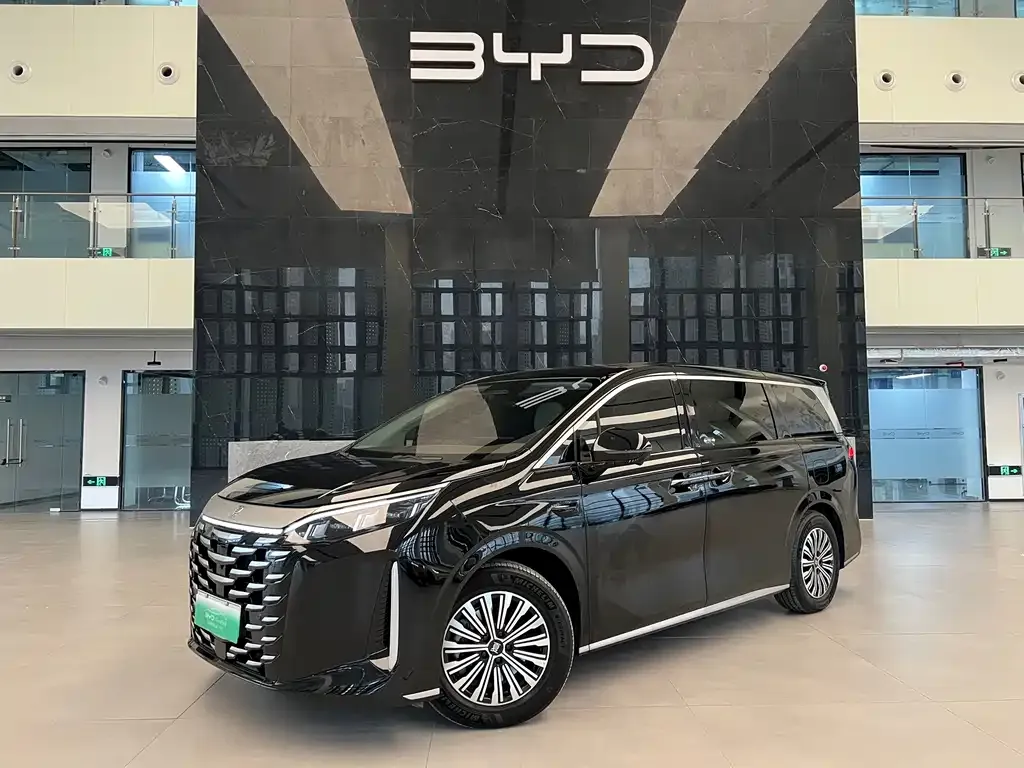 BYD Xia — фото 1