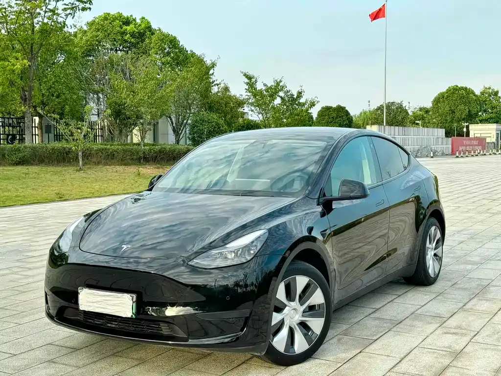 Tesla Model Y — фото 1
