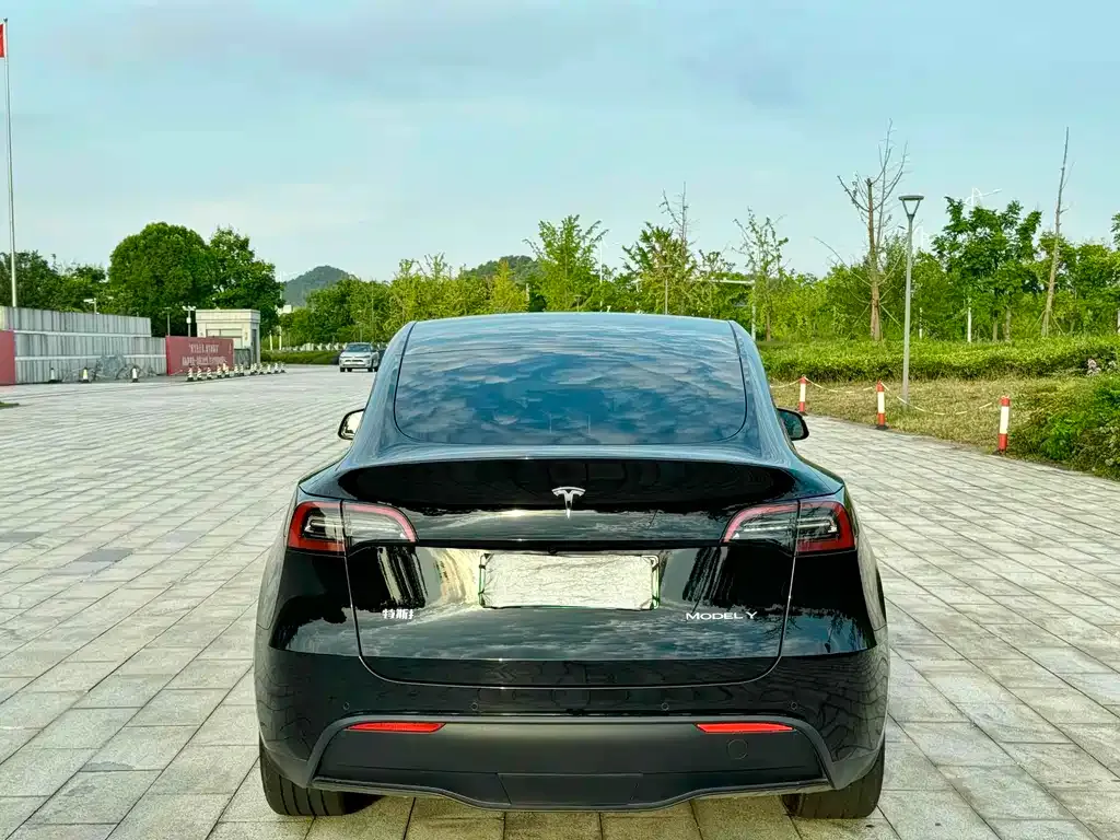 Tesla Model Y — фото 4