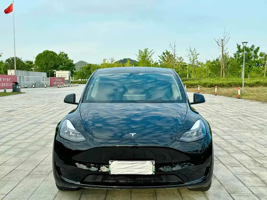 Tesla Model Y — фото 7