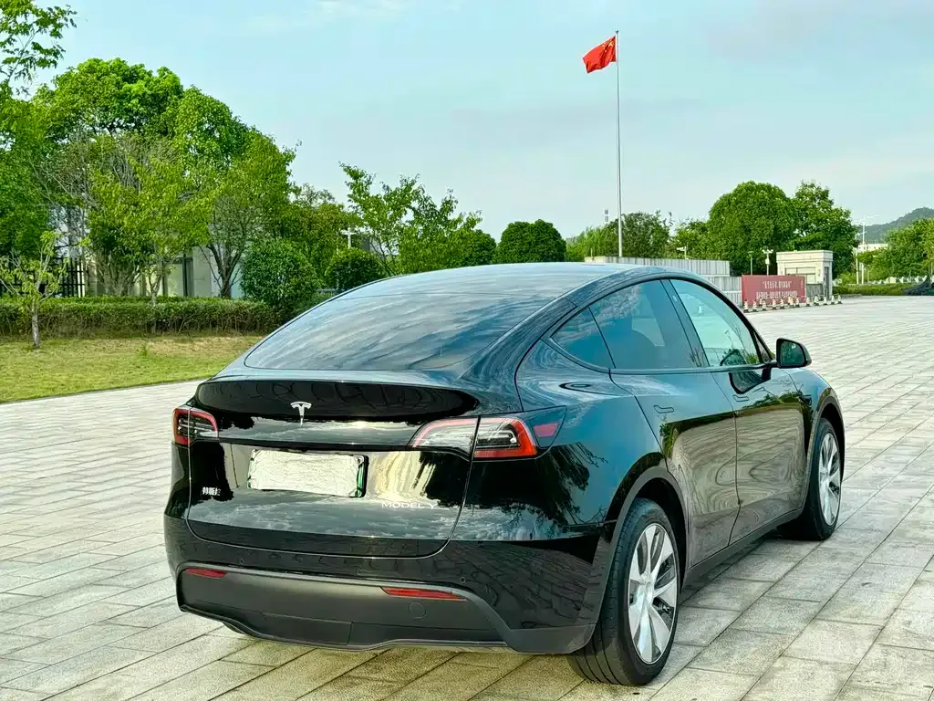 Tesla Model Y — фото 9