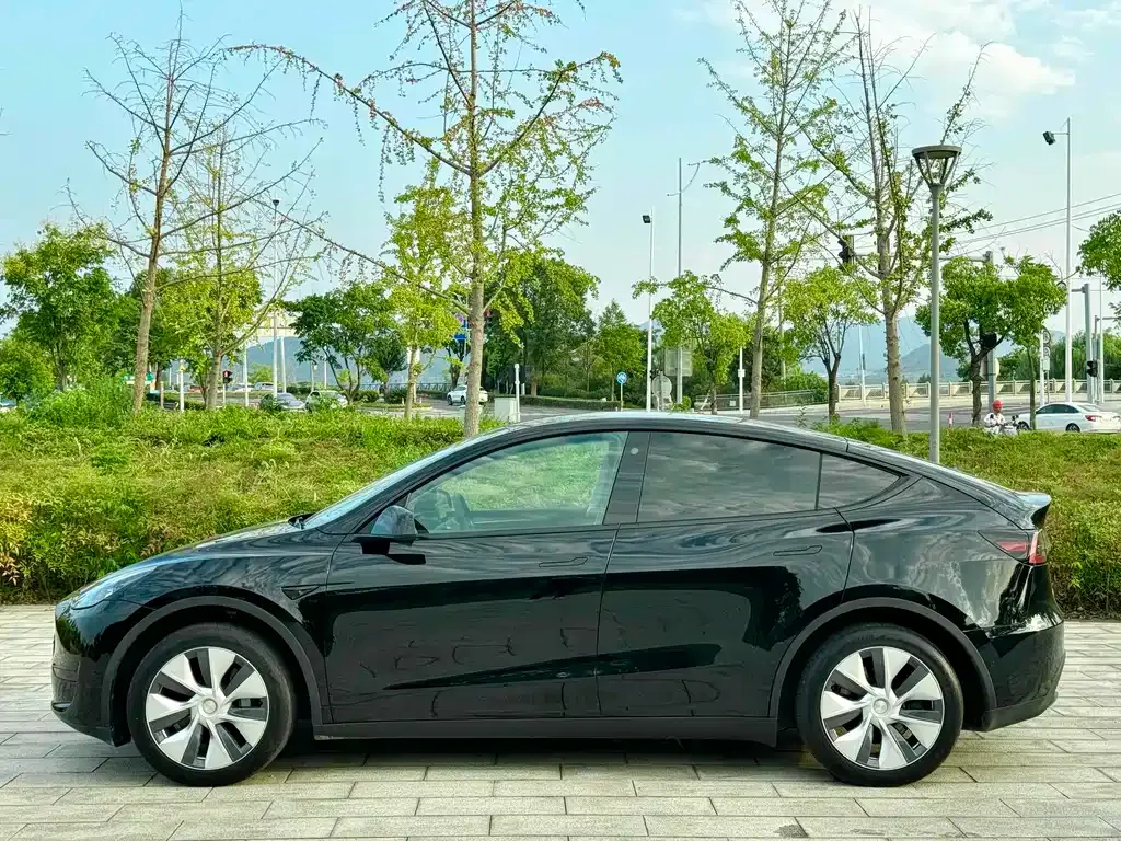 Tesla Model Y — фото 10