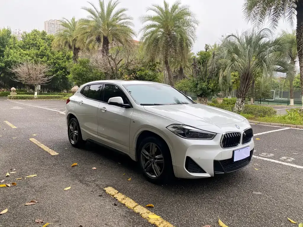 BMW X2 — фото 1