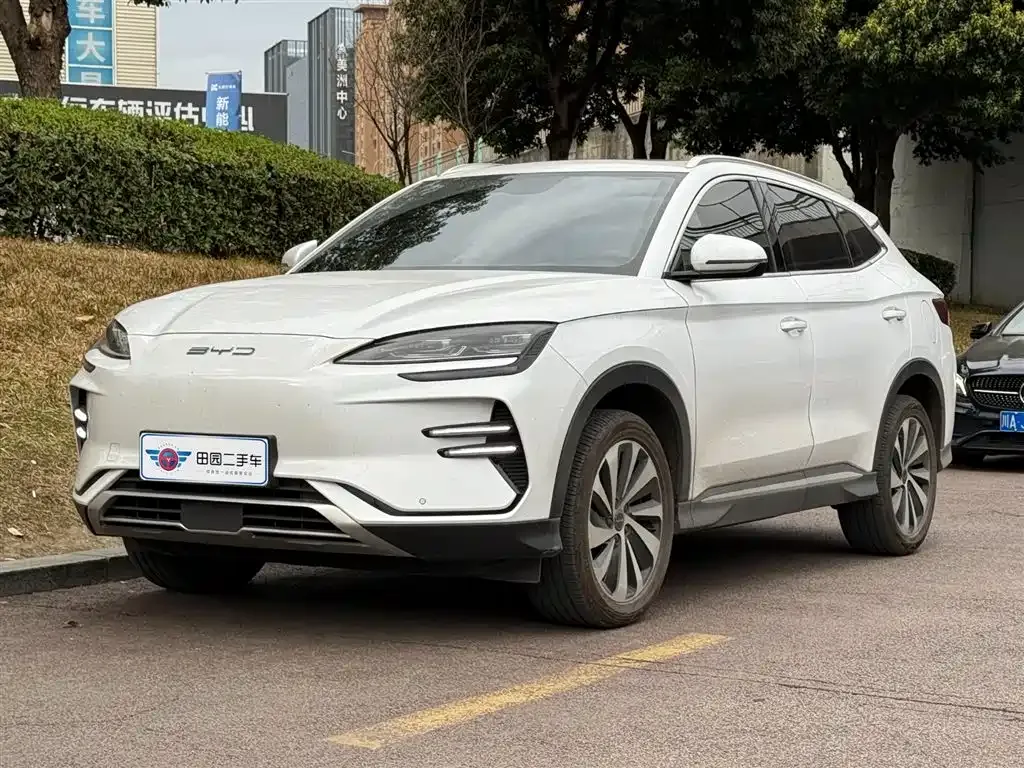 BYD PLUS New Energy — фото 1