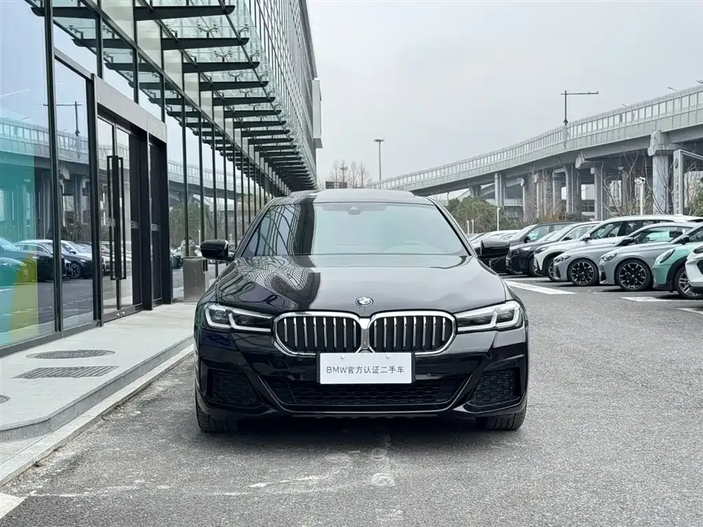 BMW 5 Series New Energy — фото 4