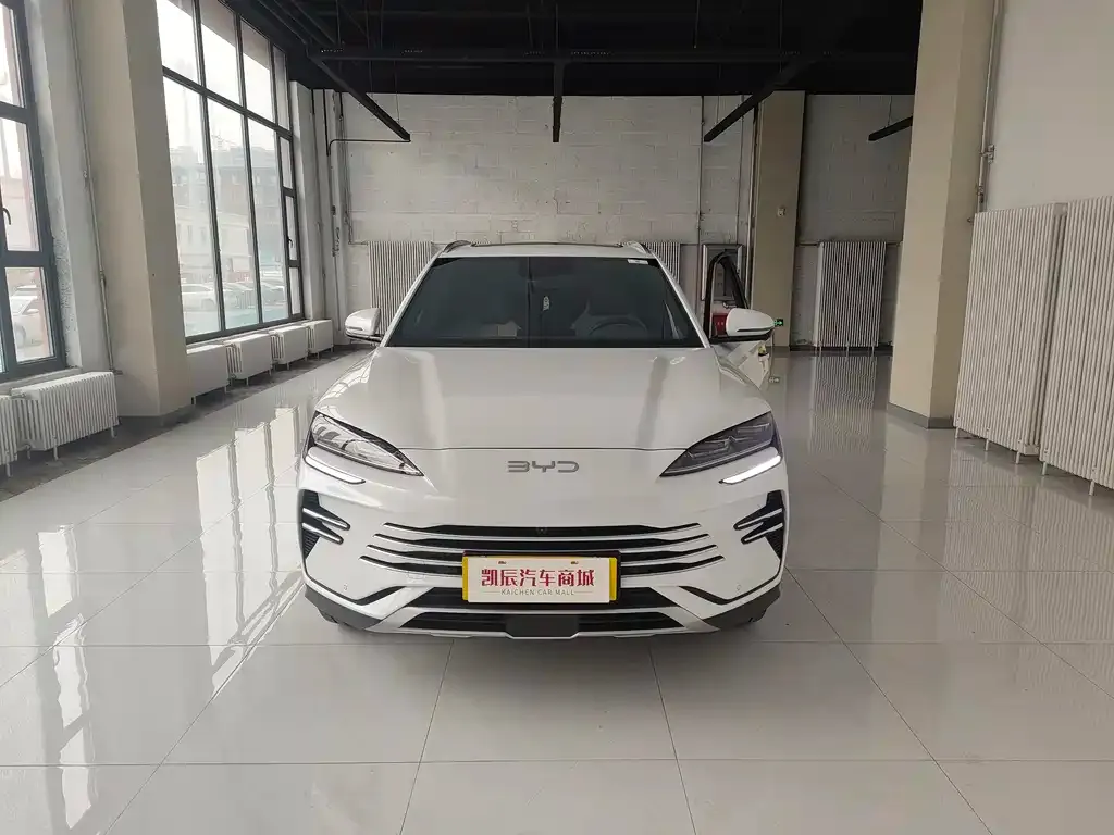 BYD PLUS New Energy — фото 1