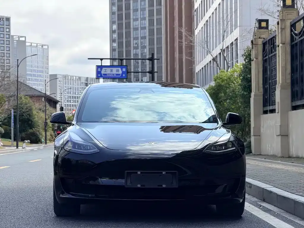 Tesla Model 3 — фото 2