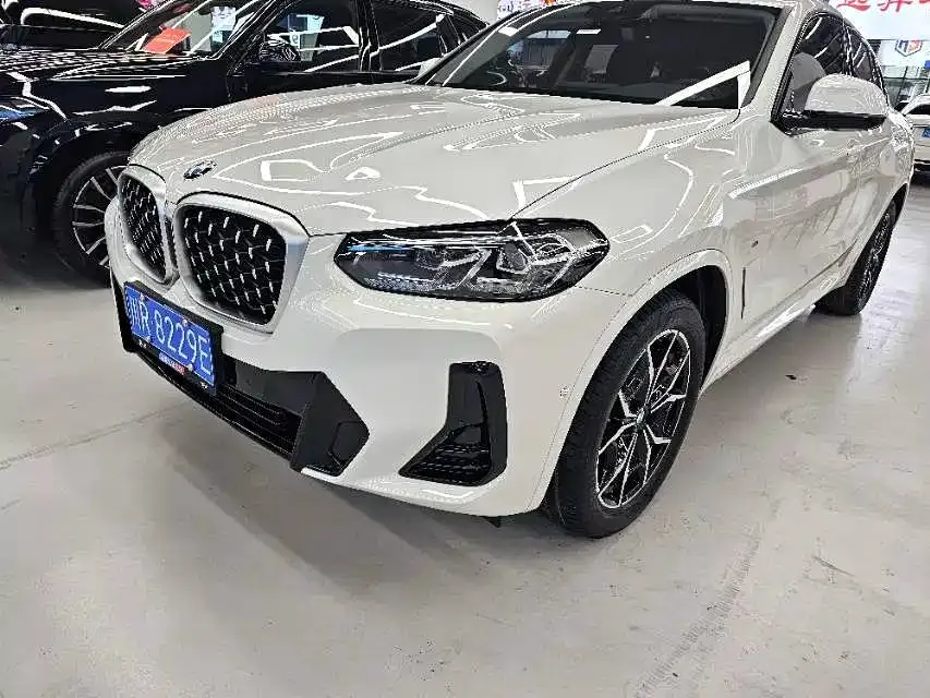 BMW X4 — фото 1