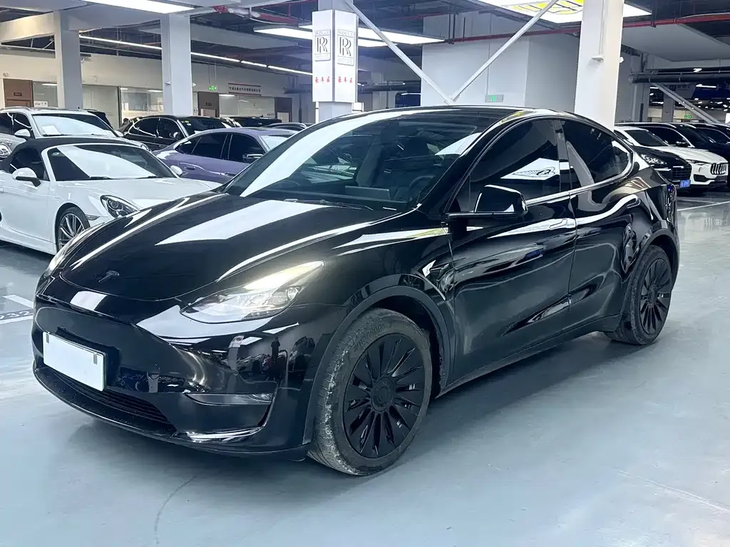 Tesla Model Y — фото 1