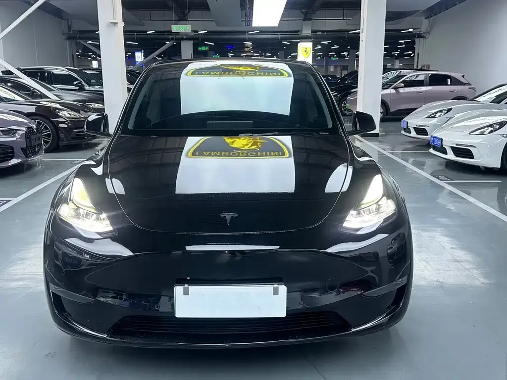 Tesla Model Y — фото 10