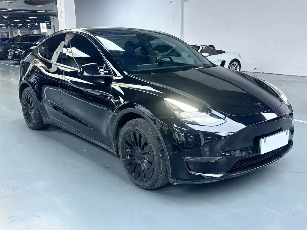 Tesla Model Y — фото 2