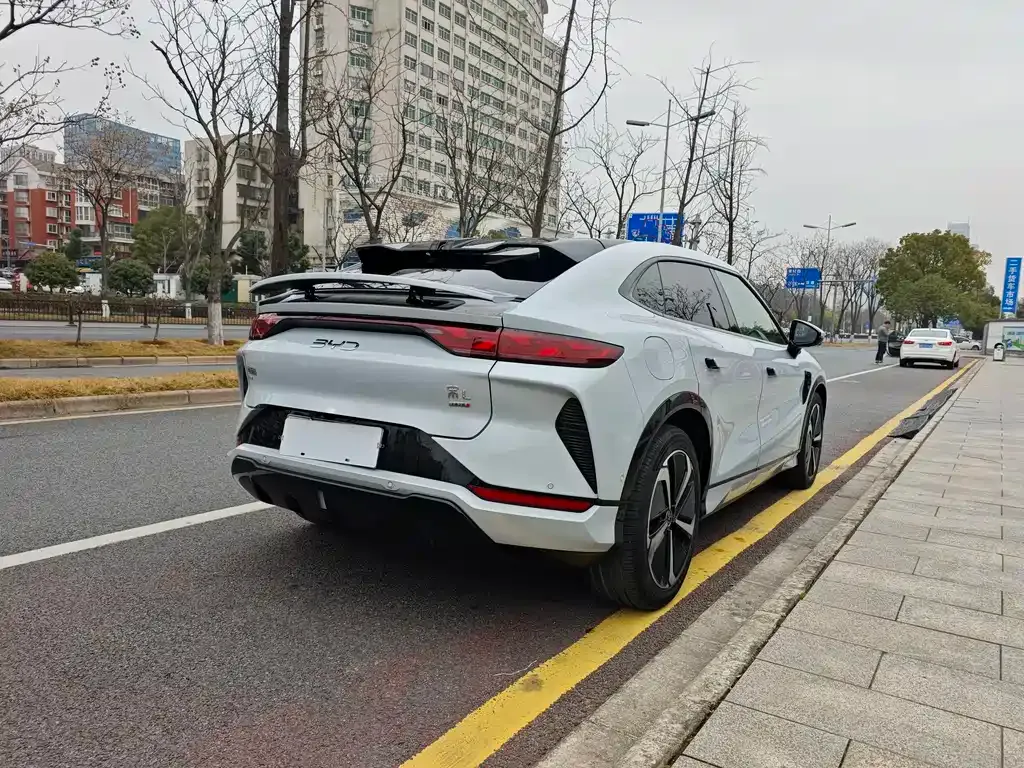 BYD L EV — фото 10
