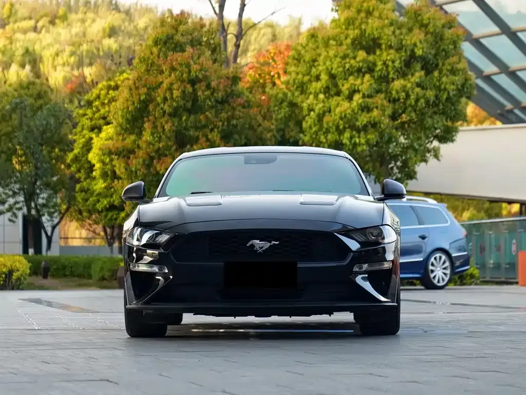 Ford Mustang — фото 10