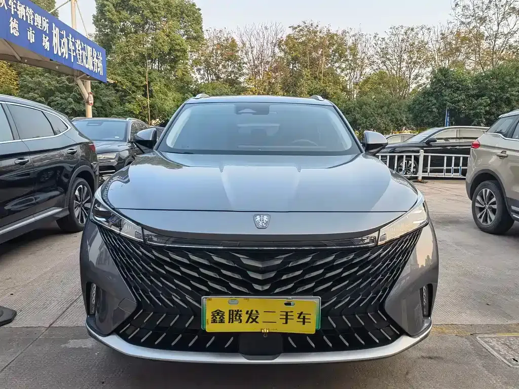 Roewe RX5 New Energy — фото 10