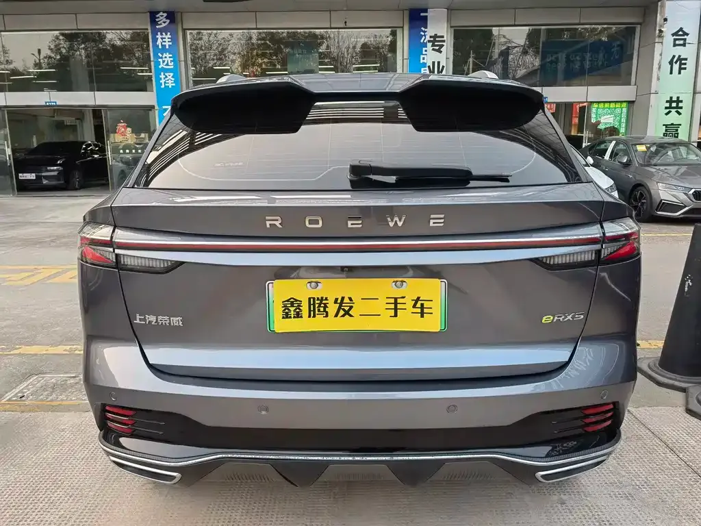Roewe RX5 New Energy — фото 9