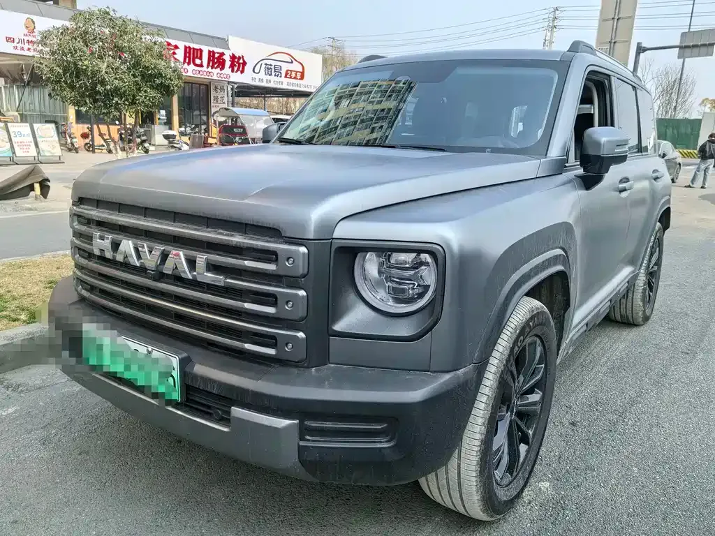 Haval Menglong New Energy — фото 1
