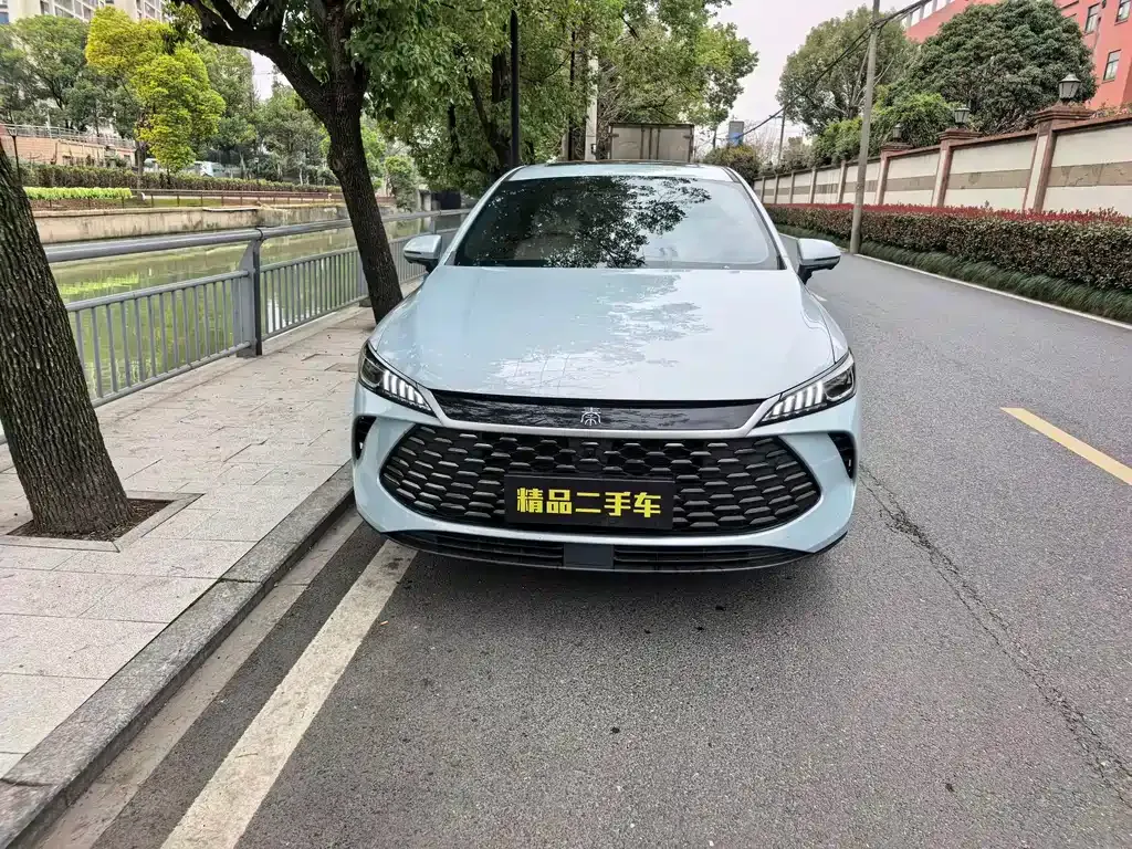 BYD Qin PLUS — фото 6