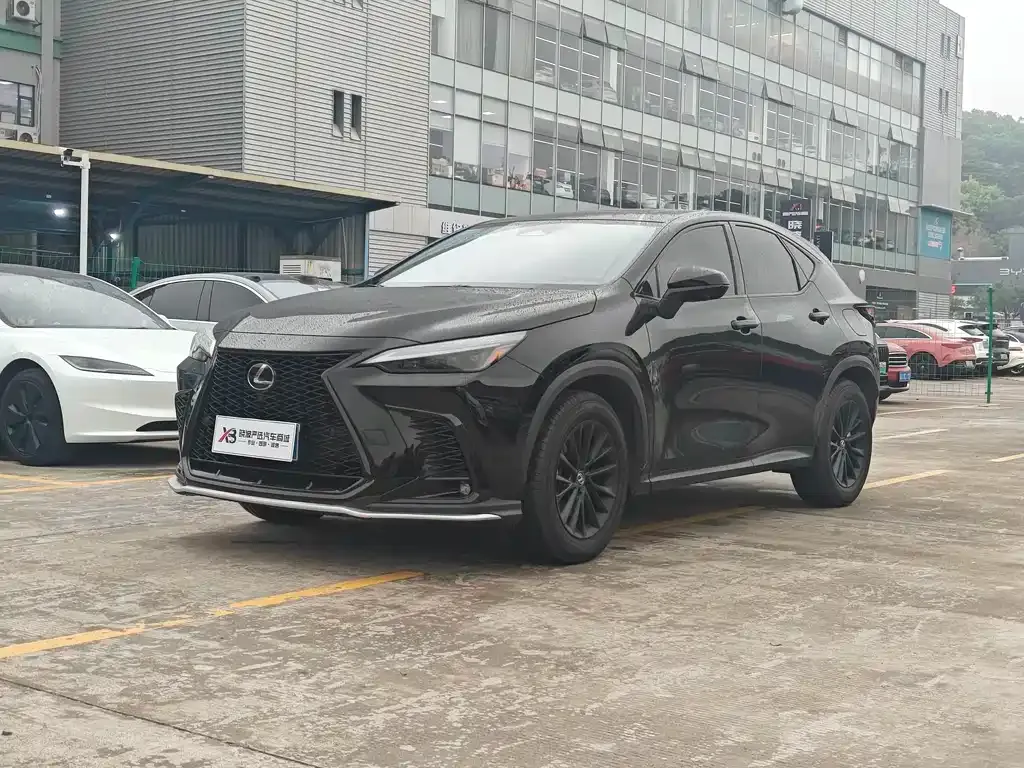 Lexus NX — фото 1