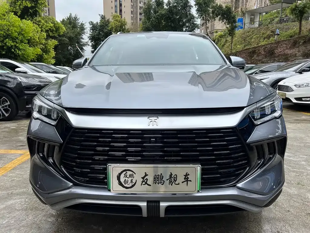 BYD Pro New Energy — фото 3