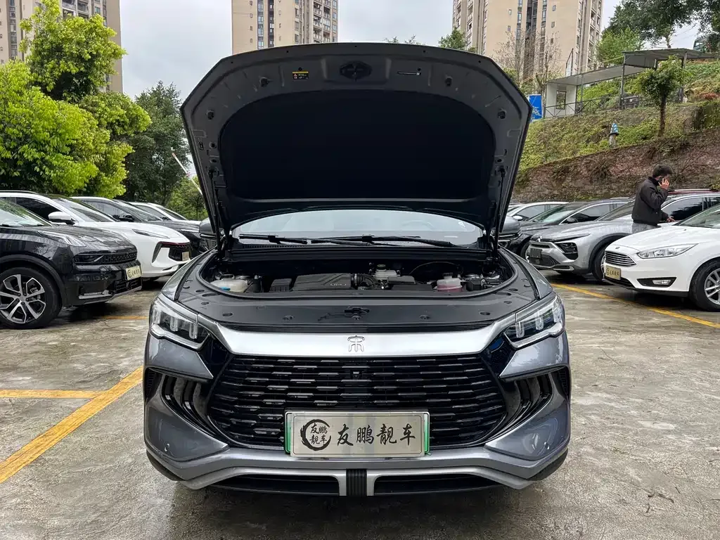 BYD Pro New Energy — фото 8