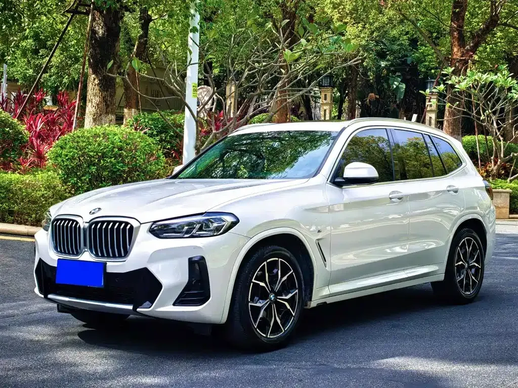 BMW X3 — фото 1
