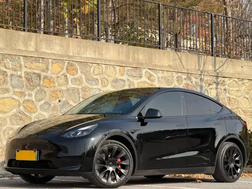 Tesla Model Y — фото 1
