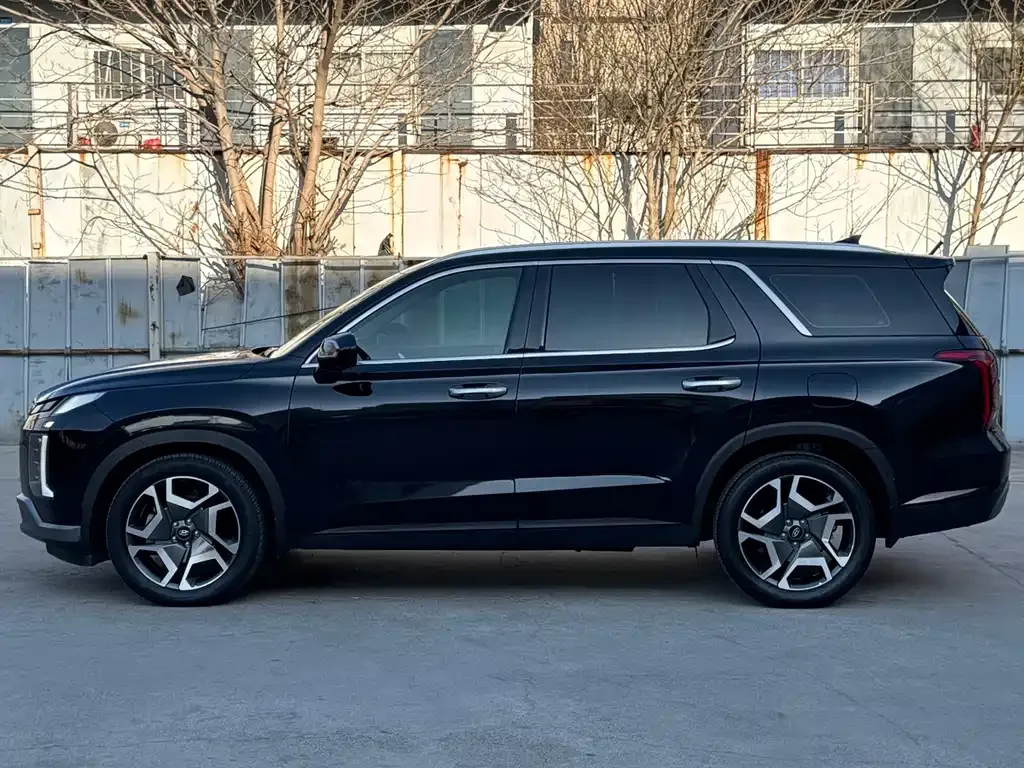 Hyundai Palisade — фото 10