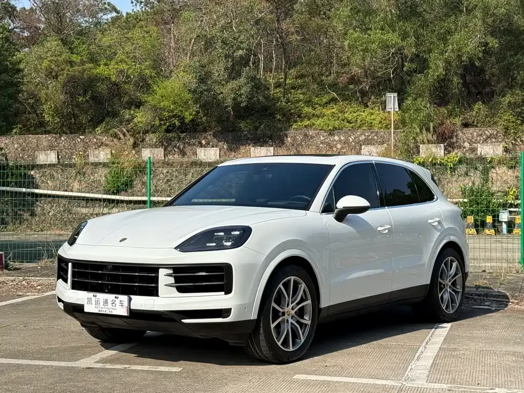 Porsche Cayenne — фото 9