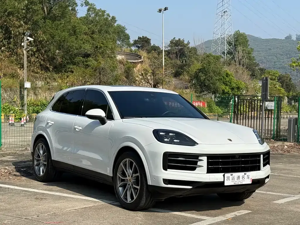 Porsche Cayenne — фото 10