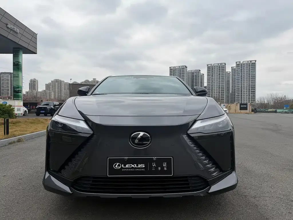 Lexus RZ — фото 9