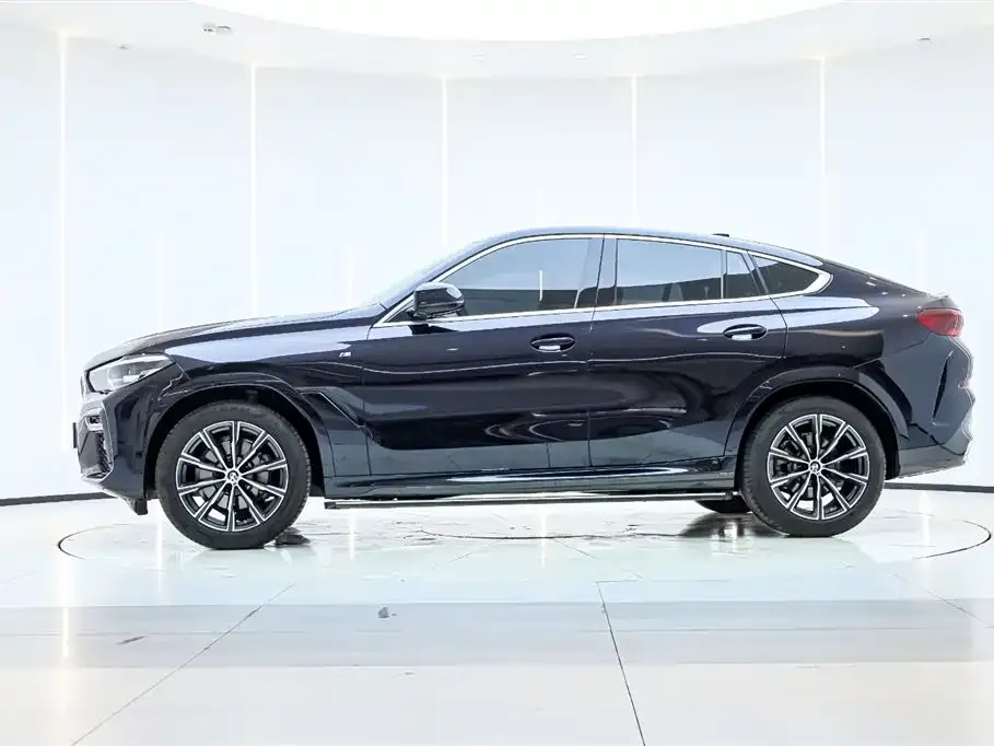 BMW X6 — фото 10
