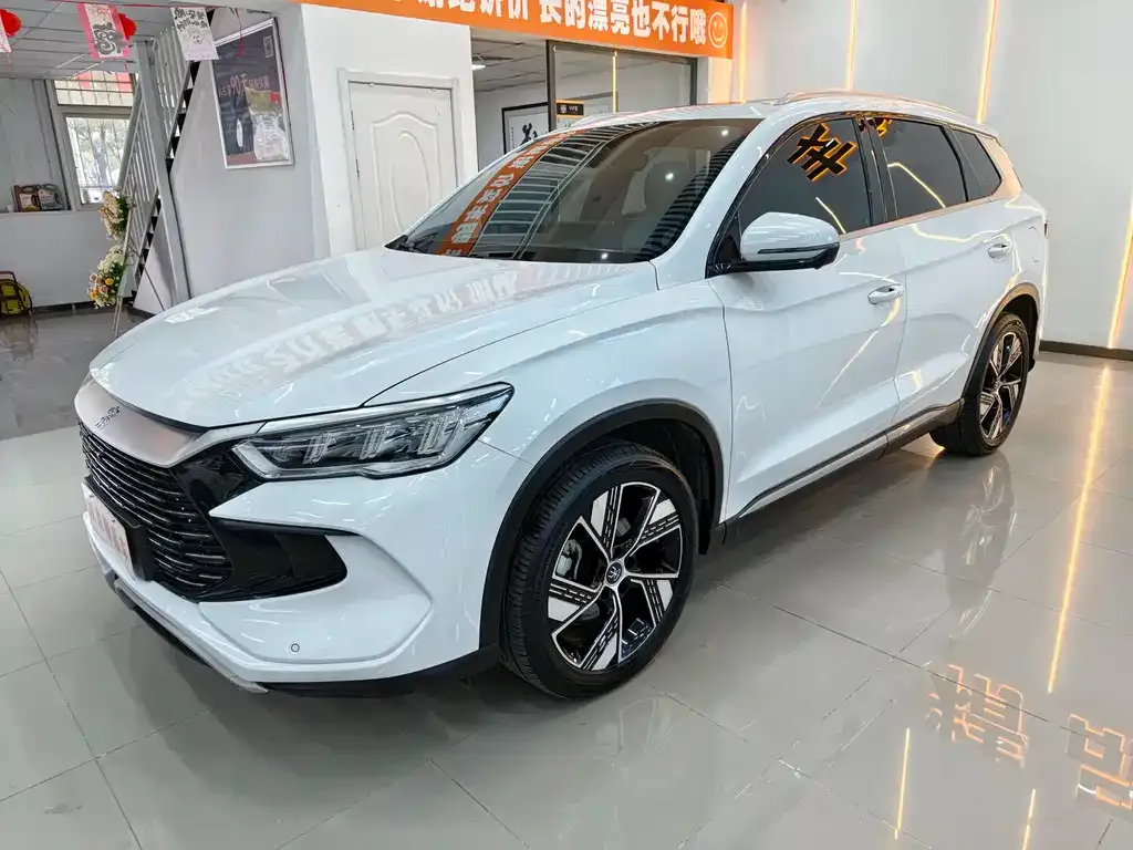 BYD Pro New Energy — фото 1