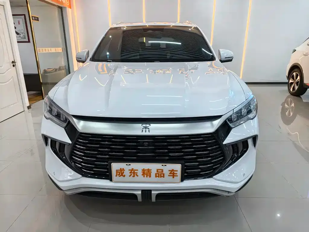 BYD Pro New Energy — фото 8