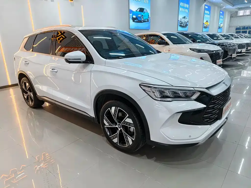 BYD Pro New Energy — фото 3