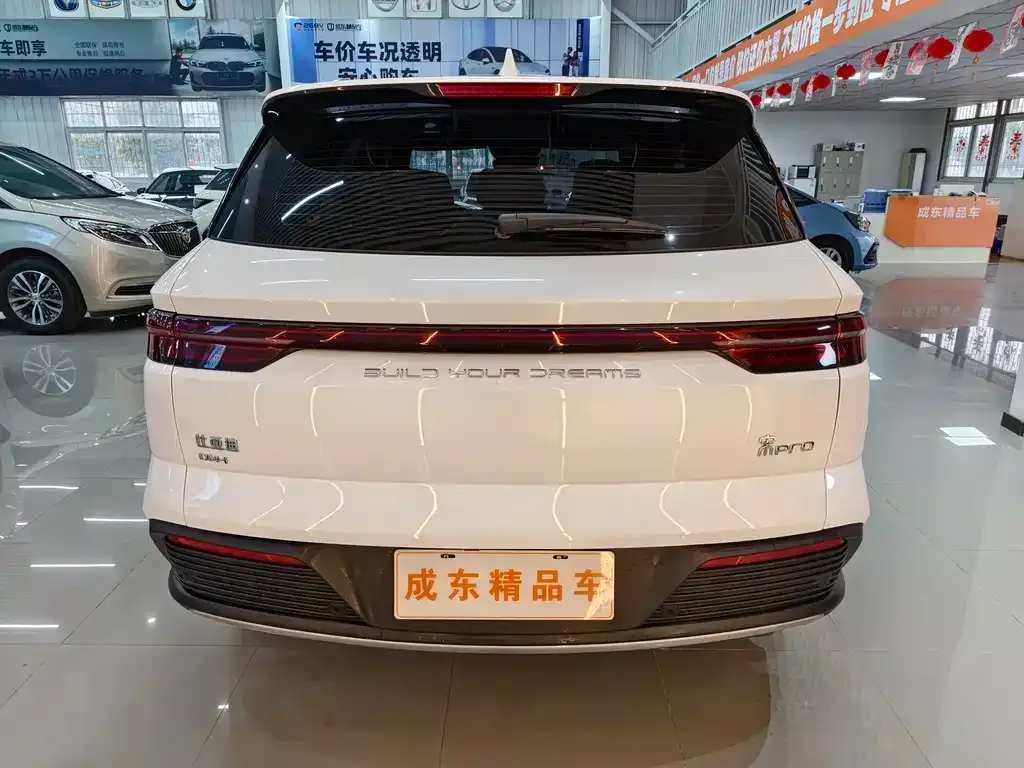 BYD Pro New Energy — фото 6