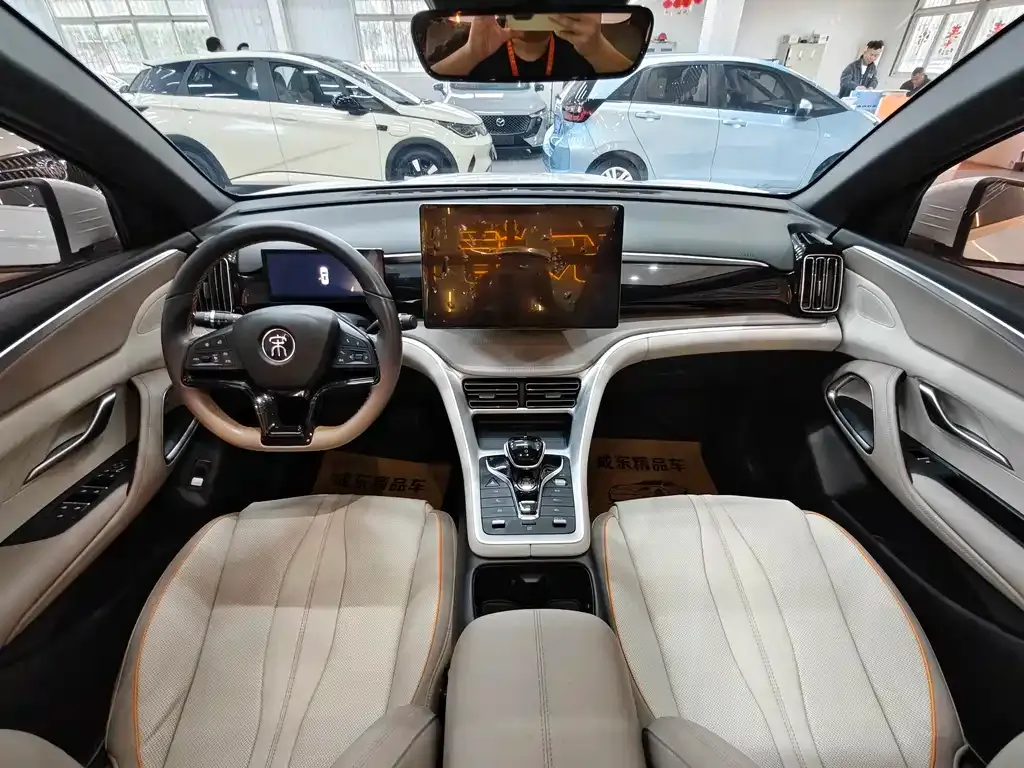 BYD Pro New Energy — фото 9