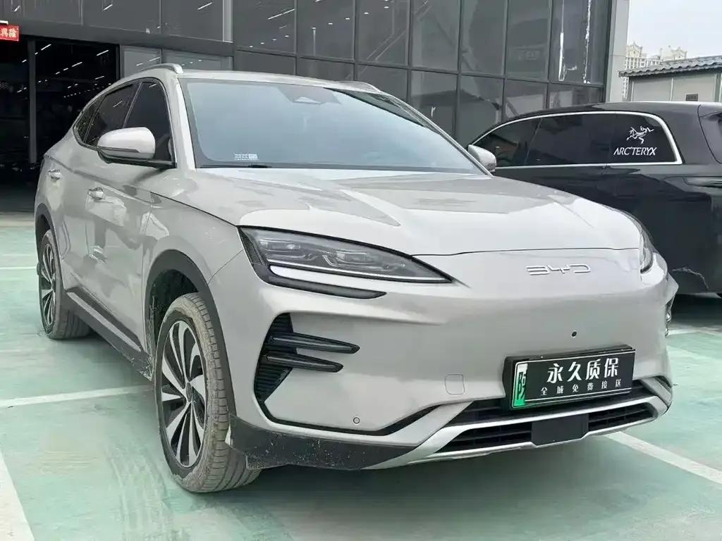 BYD PLUS New Energy — фото 8