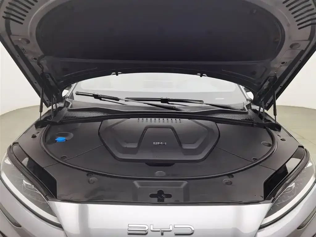 BYD PLUS New Energy — фото 6