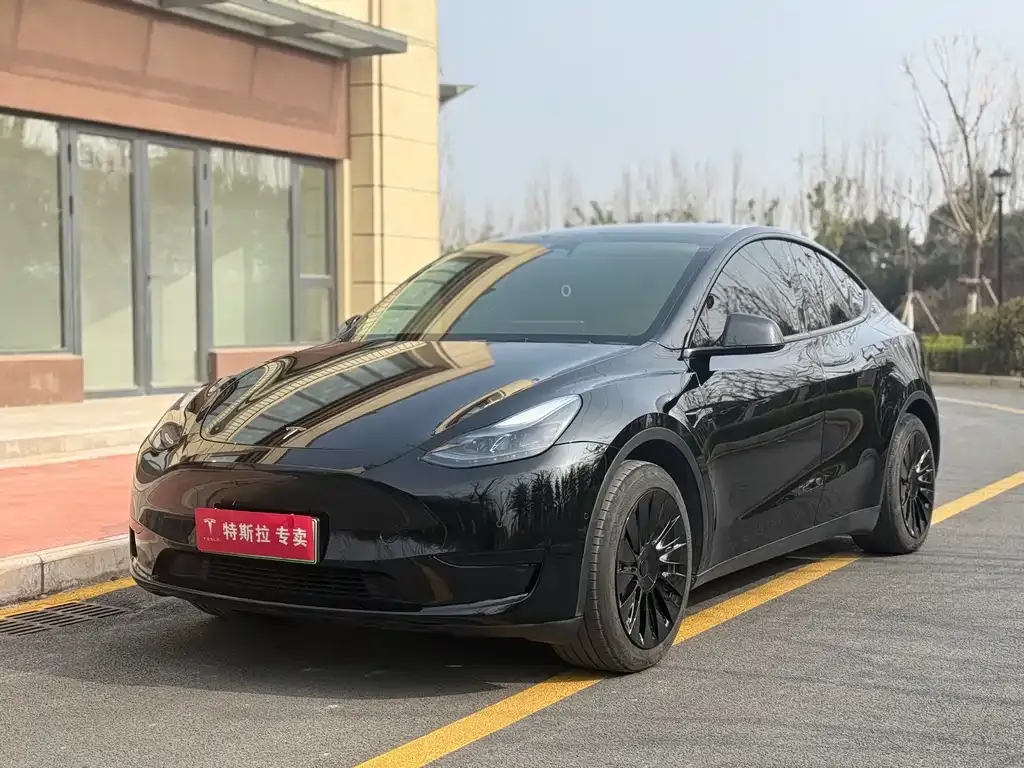 Tesla Model Y — фото 1