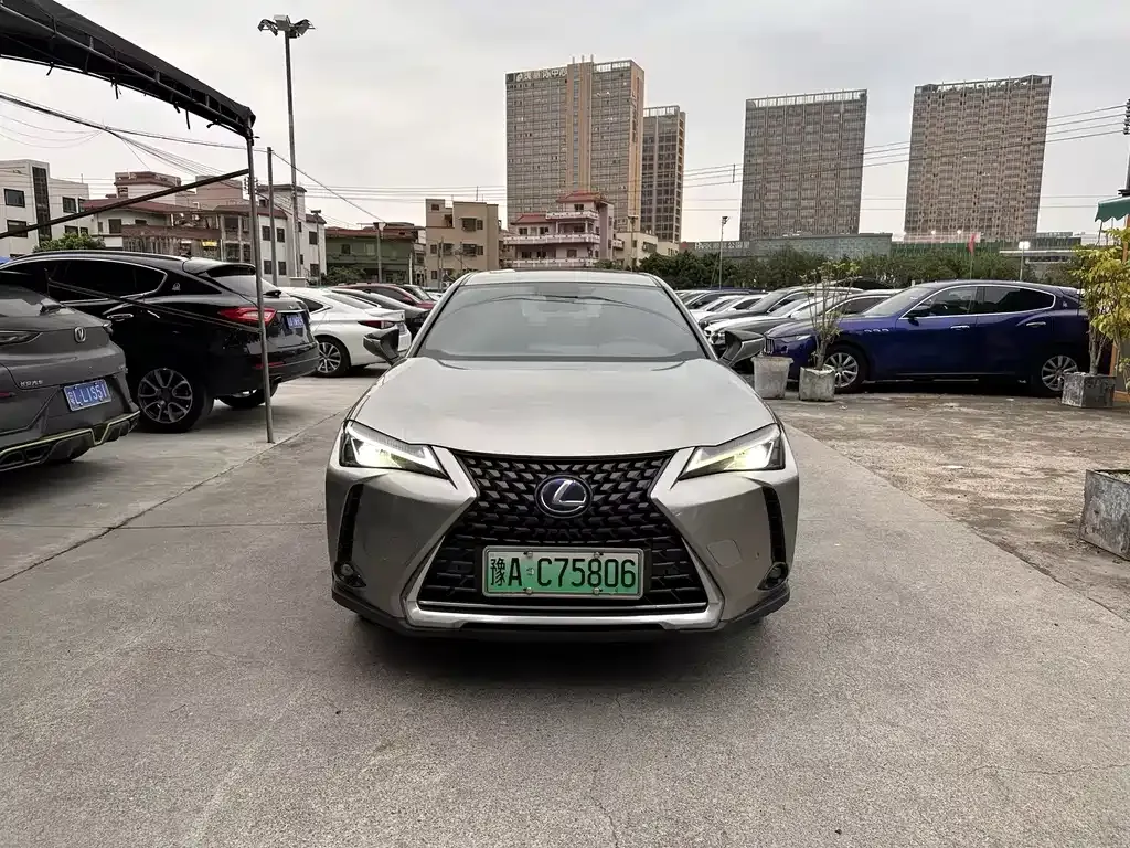 Lexus UX New Energy — фото 1