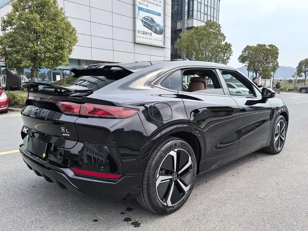 BYD L EV — фото 10