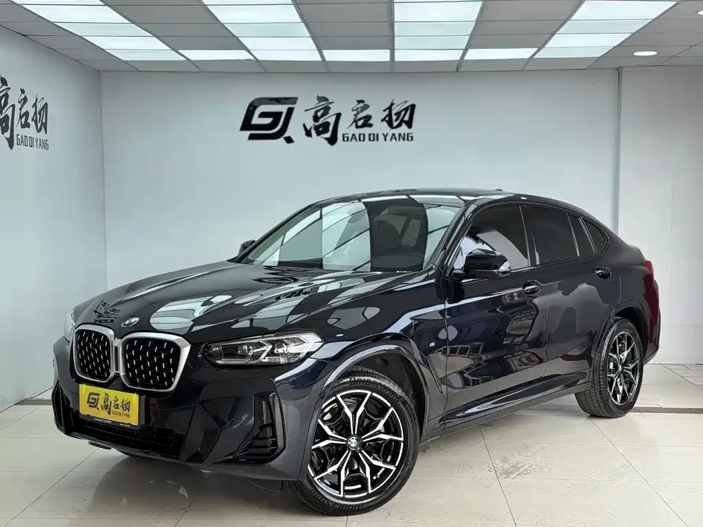 BMW X4 — фото 1