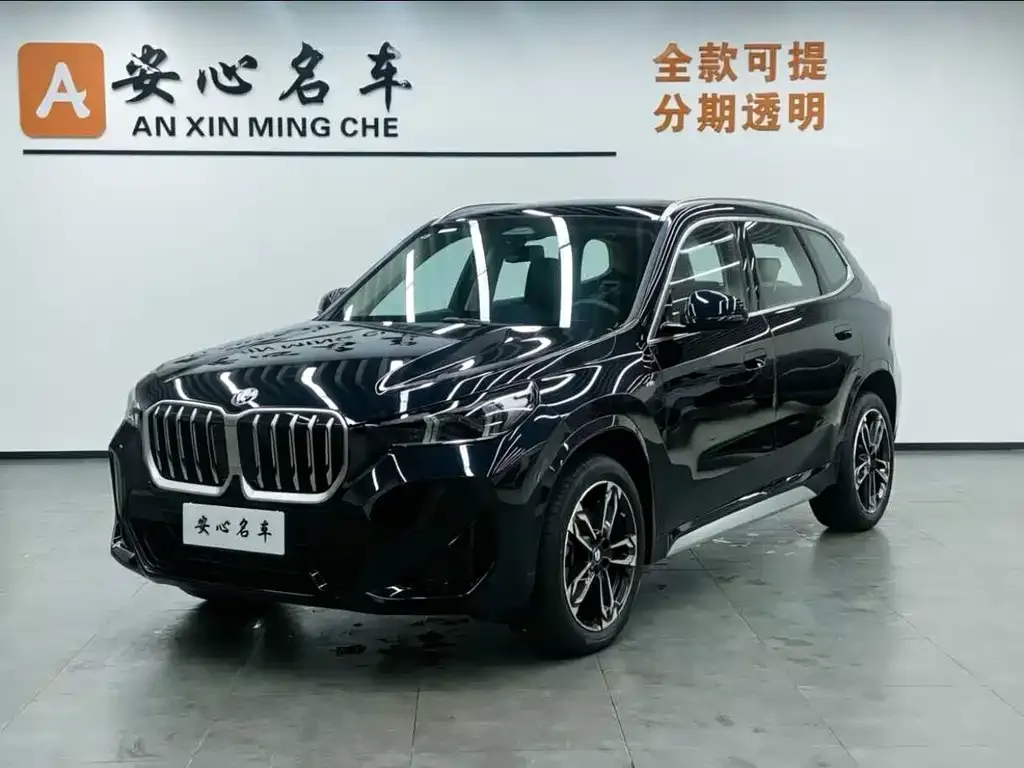 BMW X1 — фото 1